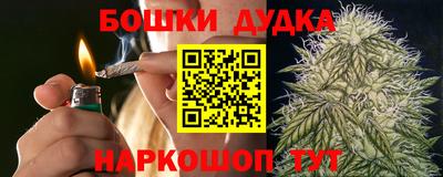 spice Обнинск