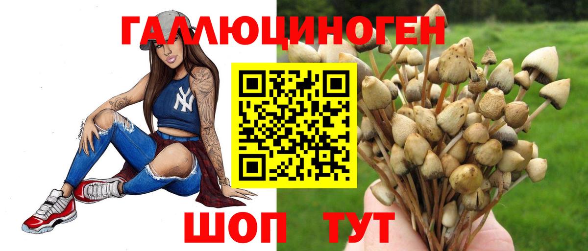 Псилоцибиновые грибы GOLDEN TEACHER  Вход с VPN  Славянск-на-Кубани  Псилоцибиновые грибы ЛСД 